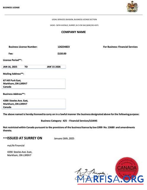 Printable Canada business license Word and PDF template